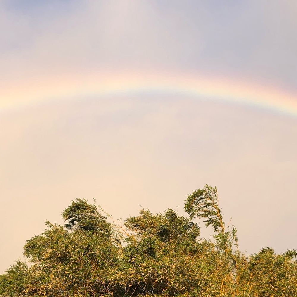 Meet your Posher, Stephenie
